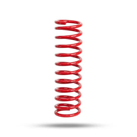 280225