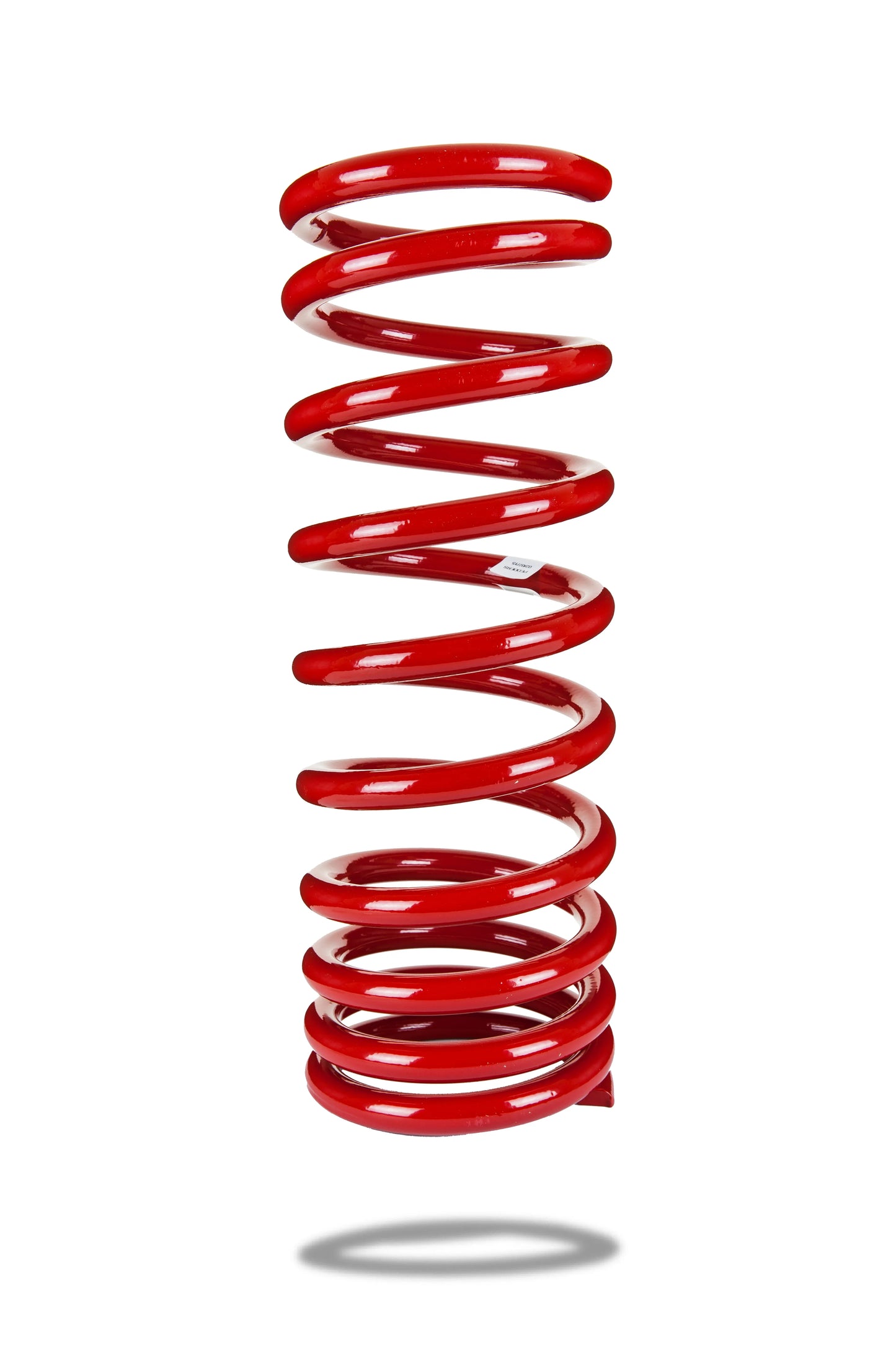 290079R