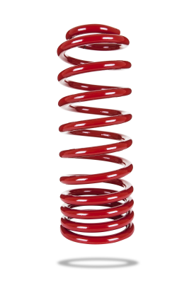 290081