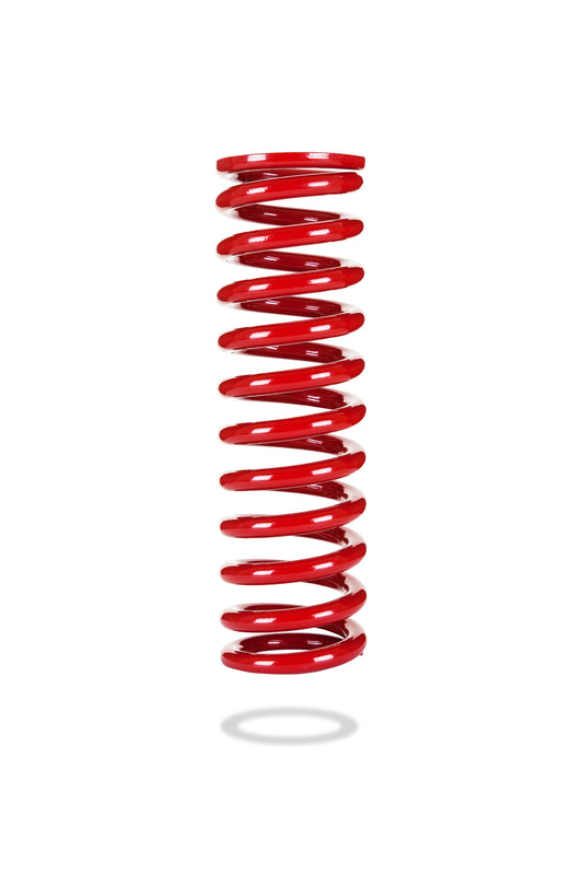 7255