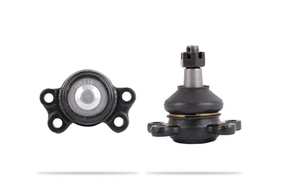 PBJ203