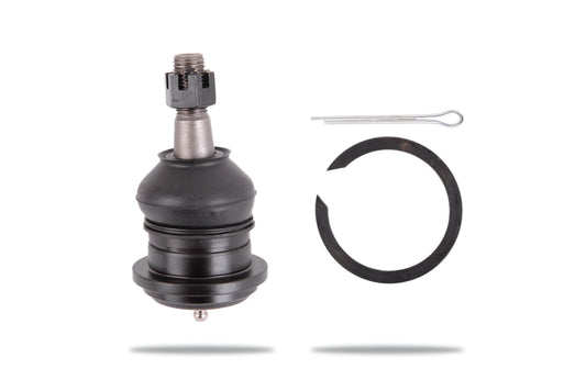 PBJ3881