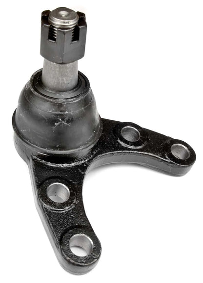 PBJ3955